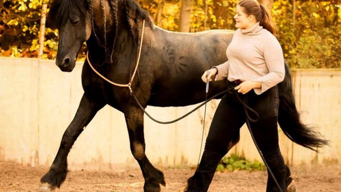 5 Natural Horsemanship Tips to Improve Your Relationship With Your Horse