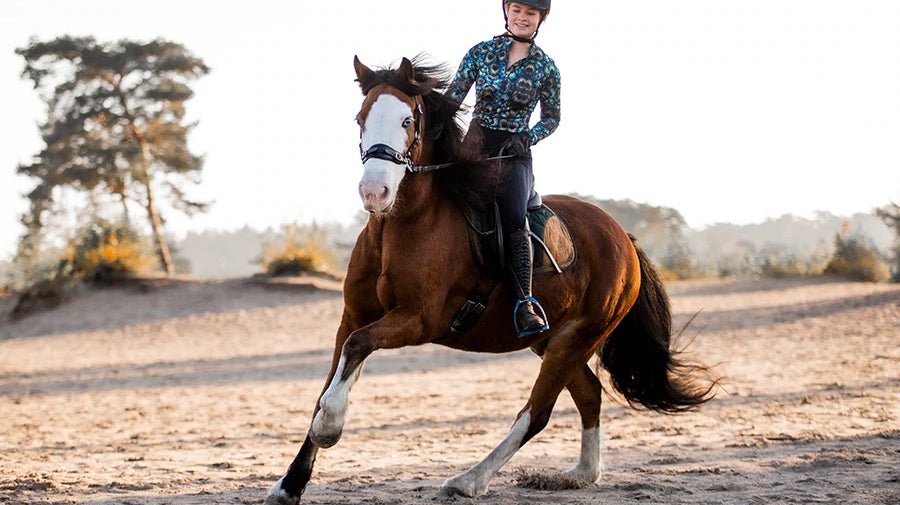 Can strong horses be ridden bitless?