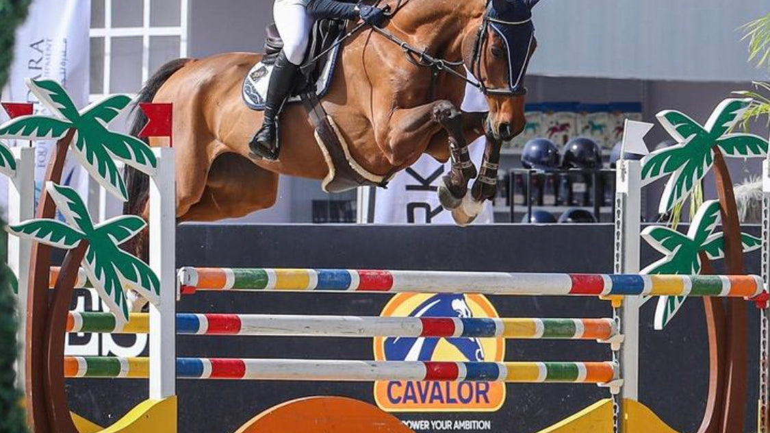 Bitless Showjumping: The Future of Horse Riding?