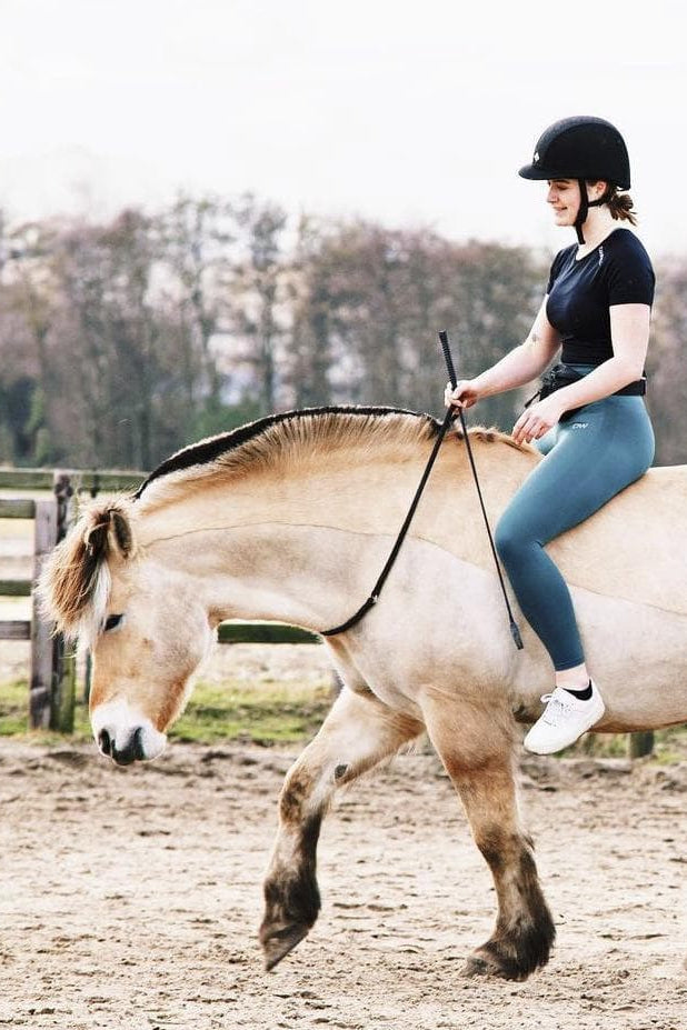 Black ring-Free Riding Neckropes-FR Equestrian