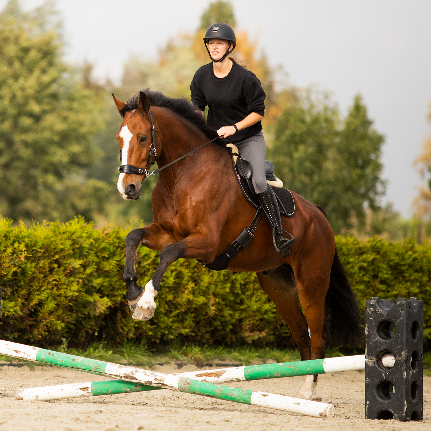 The Advantages of Riding Horses Bitless: Why You Shouldn't Use a Bitted Bridle